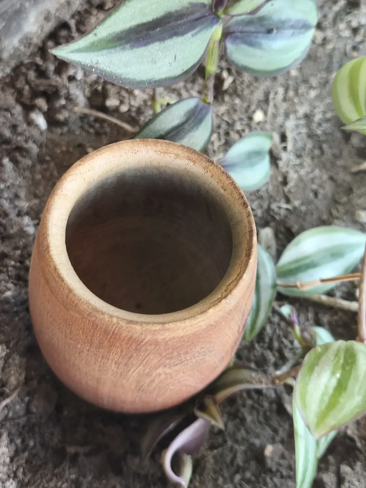 Calabaza Gourd Wooden